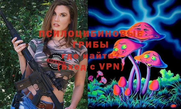 МДПВ Алексеевка