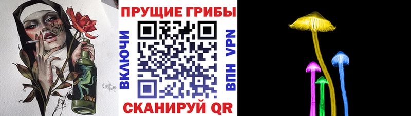 kraken как войти  Лениногорск  Галлюциногенные грибы Psilocybine cubensis 