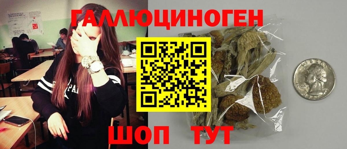 хочу   Вход с VPN  Псилоцибиновые грибы MAGIC MUSHROOMS  Лениногорск  Псилоцибиновые грибы MAGIC MUSHROOMS 